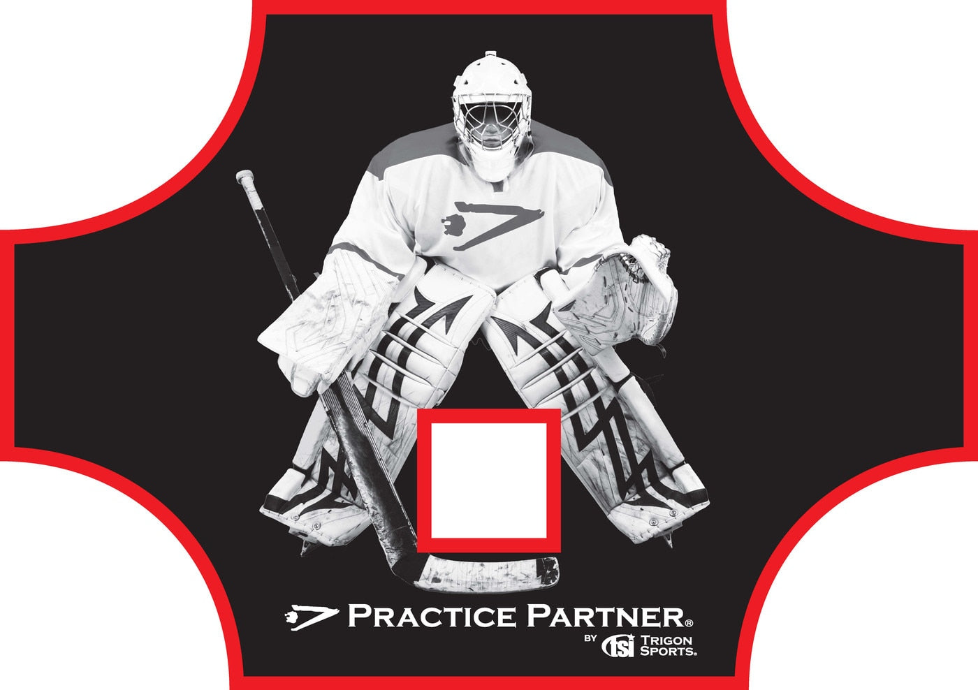 Practice Partnerª Hockey Goal Target